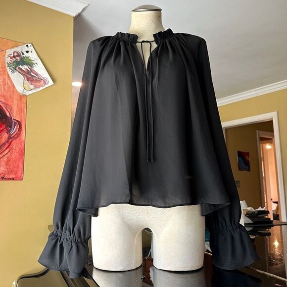 NWT Madewell Black Semi-Sheer Long Sleeve Tie Neck Ruffled Cuff Chiffon Blouse - Picture 9 of 12